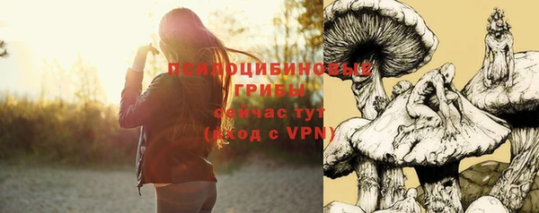 не бодяженный Богородицк